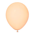 Latex Balloon - Matt