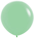 Latex Balloon - Matt