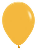 Latex Balloon - Matt