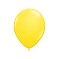 Latex Balloon - Matt