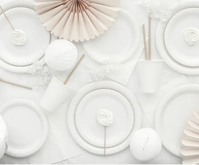 Plates – Paper – White – 23cm – 6 Pieces