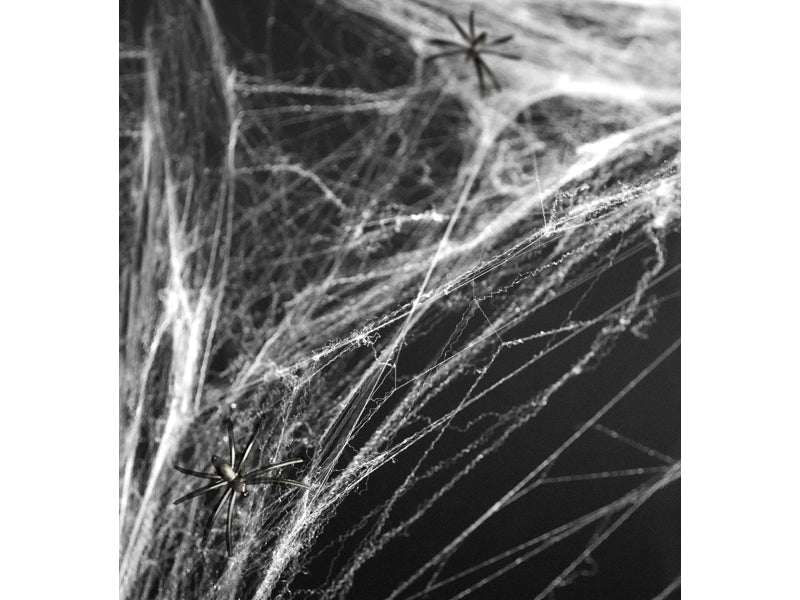 Spinnennetz - Halloween - Weiß