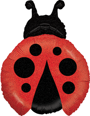 Folienballon - Marienkäfer holographic - 69cm