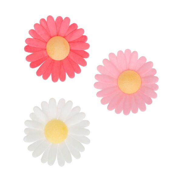 Esspapier Blumen Gänseblümchen 13 Stück