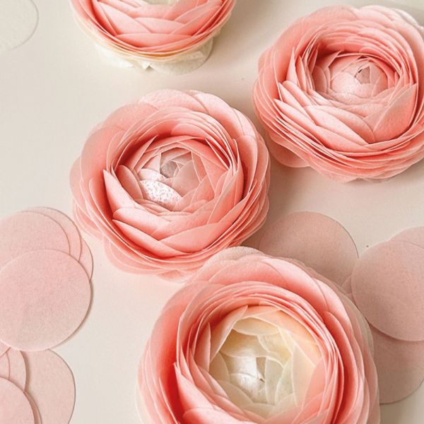 Wafer Paper/ Esspapier - Farbig A4 - 10 Stück