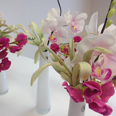 Orchideen Kurse