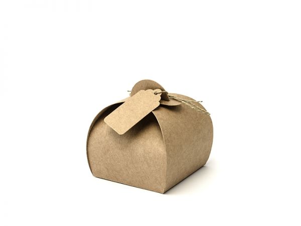 Gastgeschenkboxen Set - Braun - Kraftpapier - 10 Stück