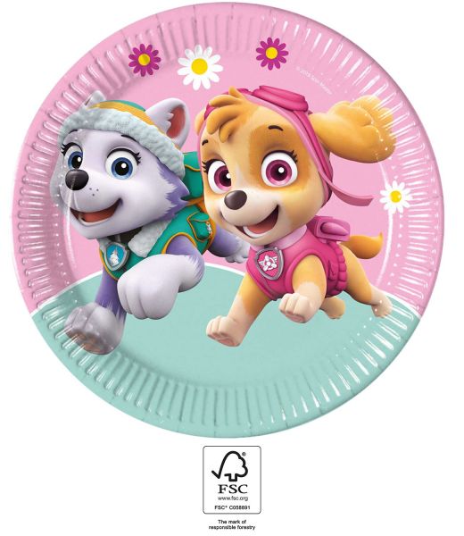 Teller - Papier - Paw Patrol - Skye & Everest - 23cm - 8 Stück