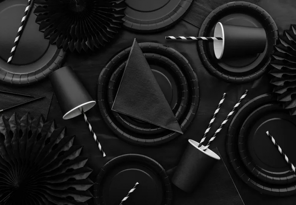 Teller - Papier - Schwarz - 23cm - 6 Stück